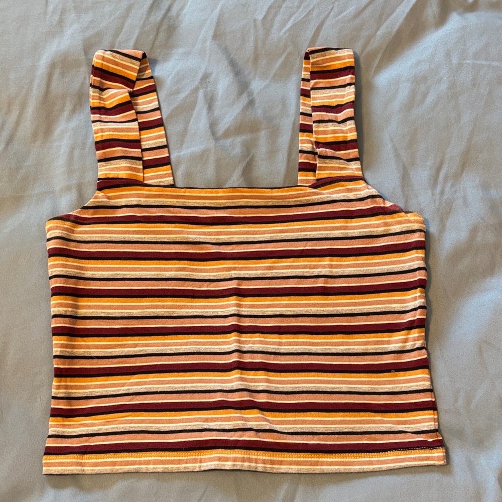Vibrant Striped Crop Top
